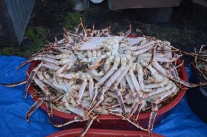 На Сахалине полицейские изъяли у двоих граждан незаконно добытый водно-биологический ресурс